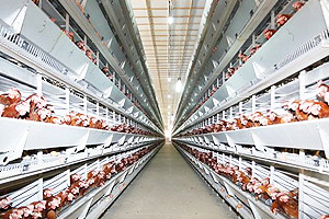 化工行業(yè)鍋爐系統(tǒng)解決方案