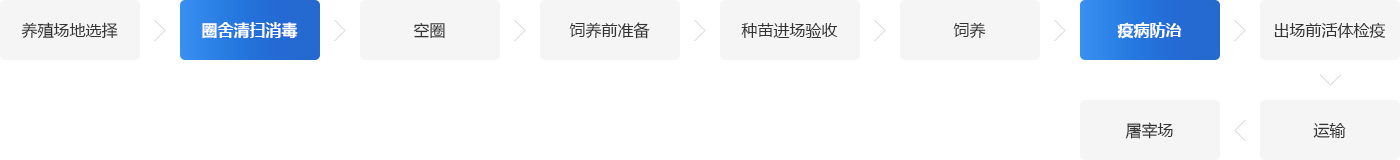 養(yǎng)雞場鍋爐系統(tǒng)解決方案